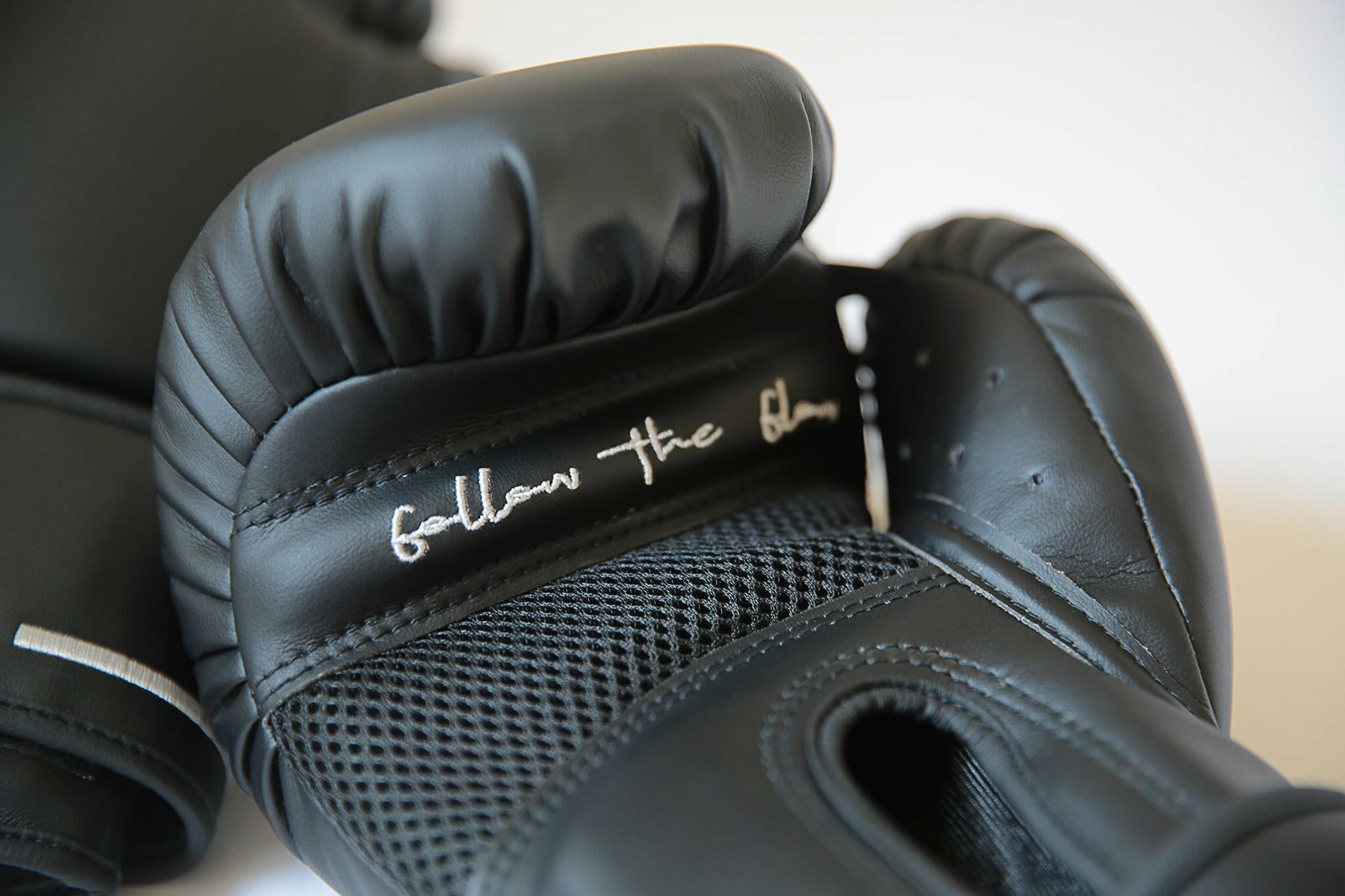 君子之爭Fair fight - 拳擊手套