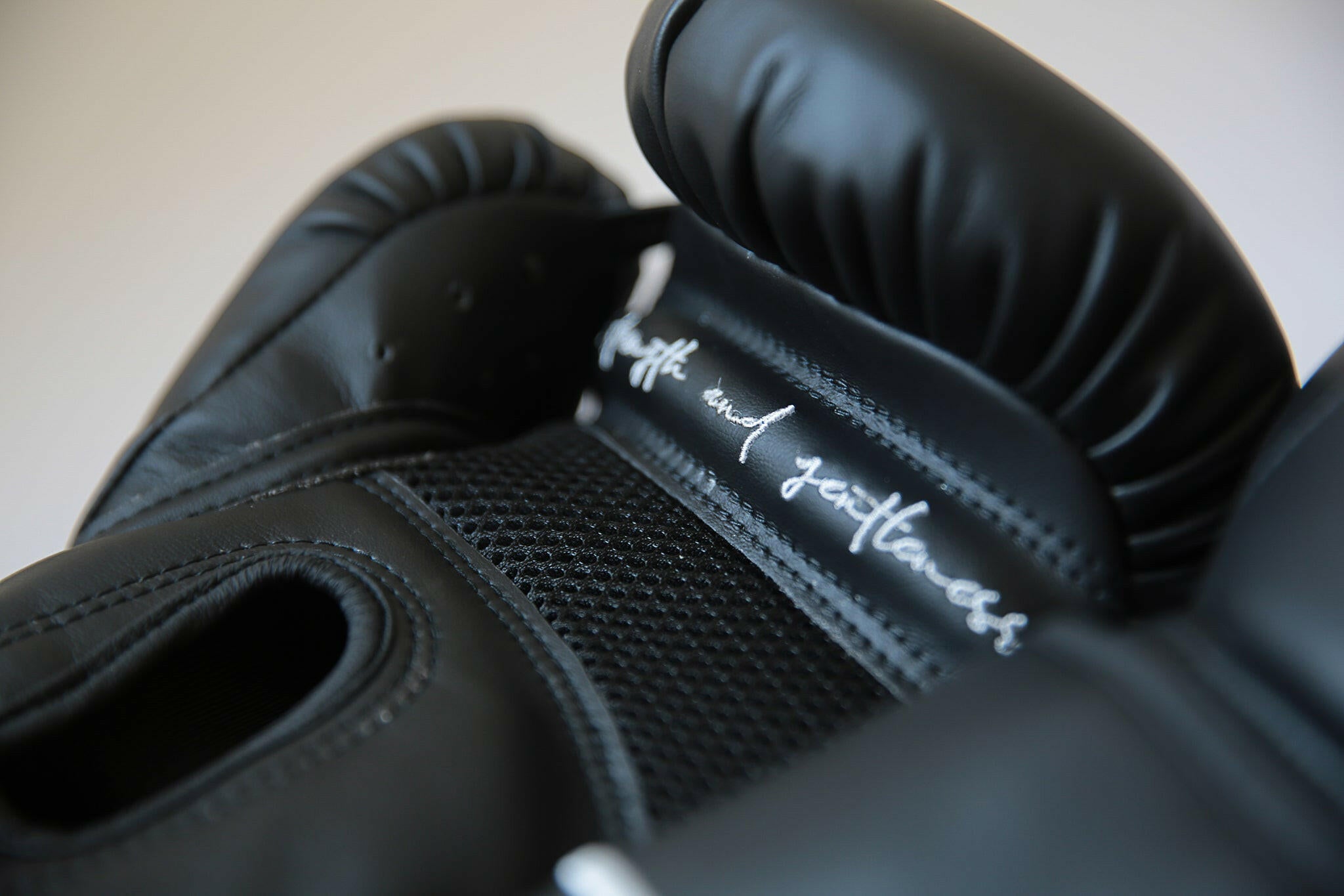 君子之爭Fair fight - 拳擊手套